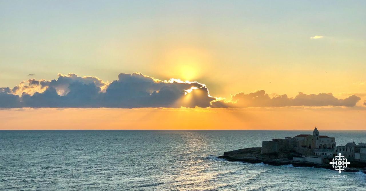 Infinito - Attico Sul Mare Apartment เวียสเต ภายนอก รูปภาพ